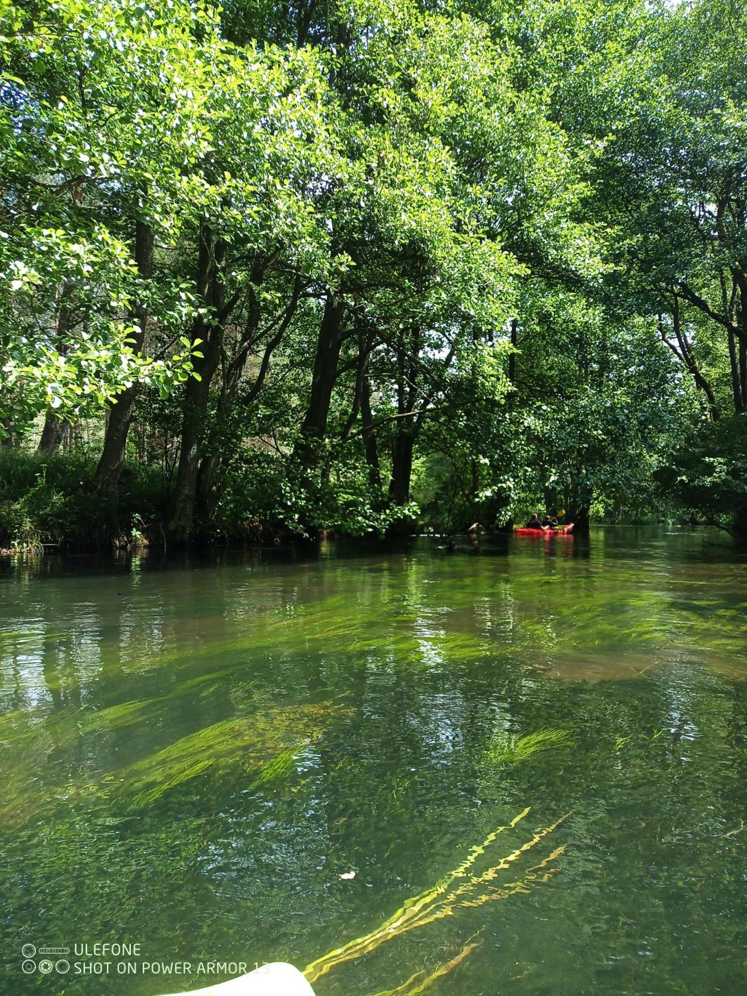 Agroturystyka Gramburg Zblewo Exterior foto